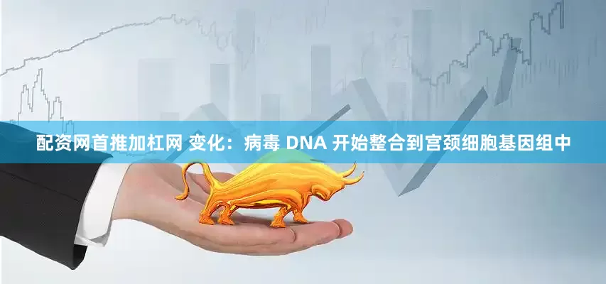 配资网首推加杠网 变化：病毒 DNA 开始整合到宫颈细胞基因组中