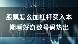 股票怎么加杠杆买入本期看好奇数号码热出