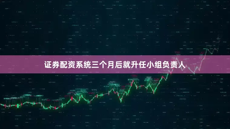 证券配资系统三个月后就升任小组负责人